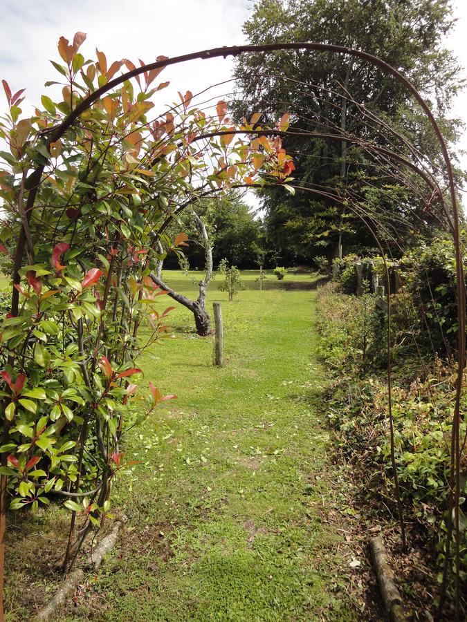 Glendine House Kilkenny Bed & Breakfast Dış mekan fotoğraf