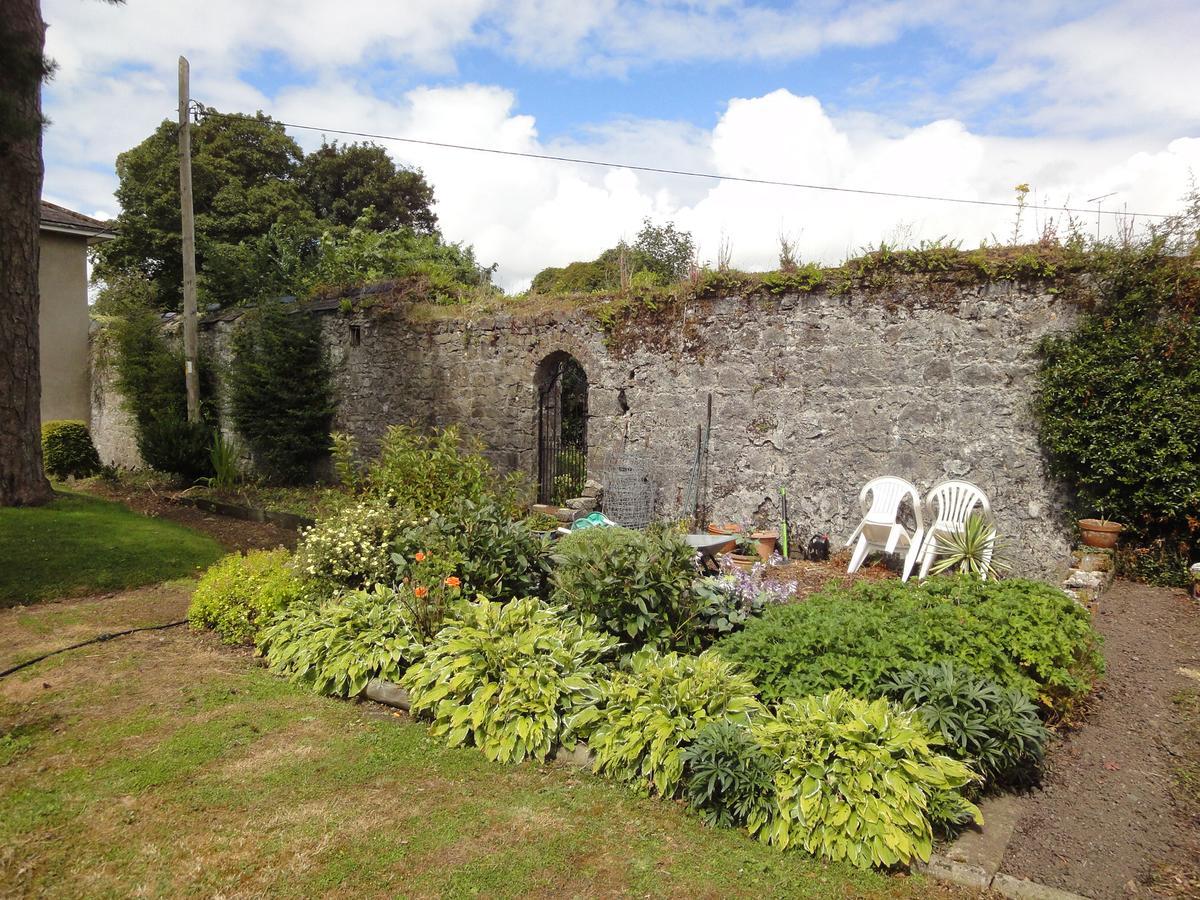 Glendine House Kilkenny Bed & Breakfast Dış mekan fotoğraf
