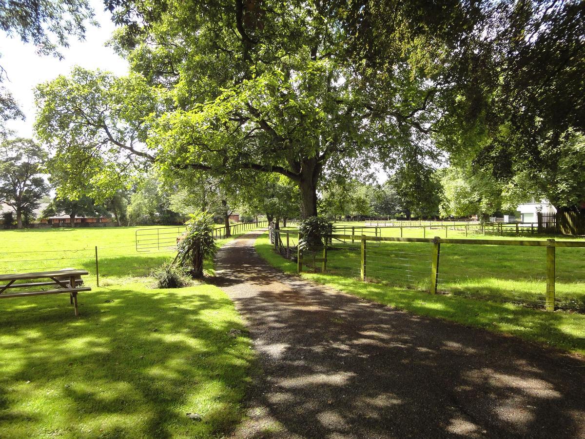 Glendine House Kilkenny Bed & Breakfast Dış mekan fotoğraf